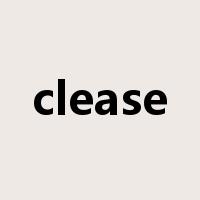 clease是什么意思