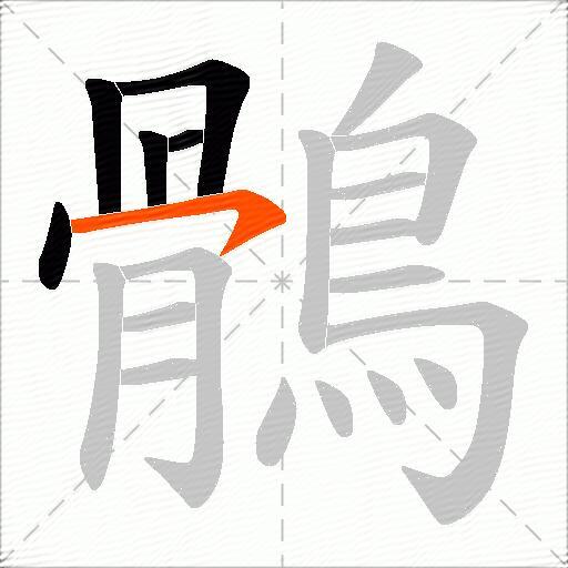 鶻