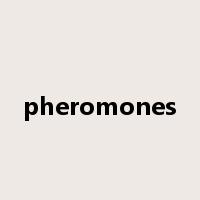 pheromones是什么意思