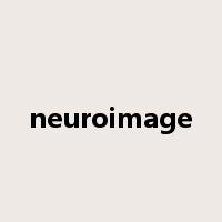 neuroimage是什么意思