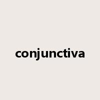 conjunctiva是什么意思