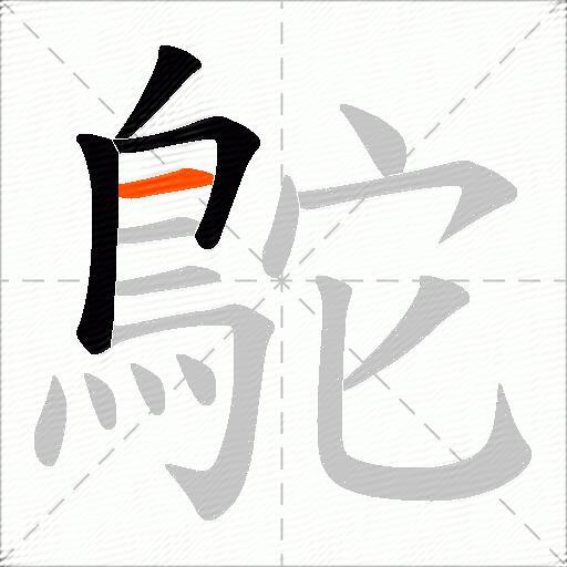 鴕