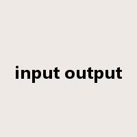 input output是什么意思
