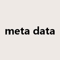 meta data是什么意思