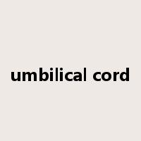 umbilical cord是什么意思