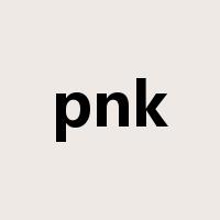 pnk是什么意思