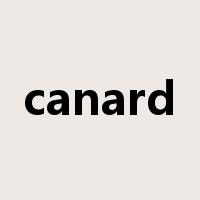 canard是什么意思