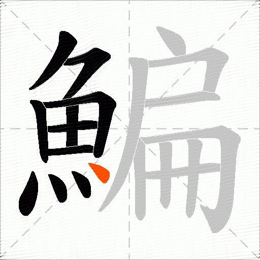 鯿