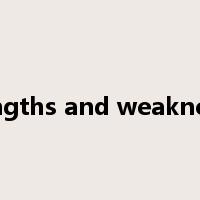 strengths and weaknesses是什么意思