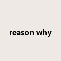 reason why是什么意思