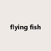 flying fish是什么意思