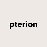 pterion是什么意思