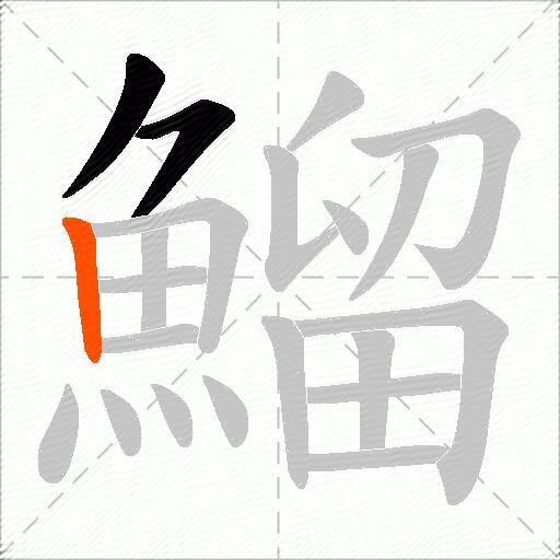 鰡