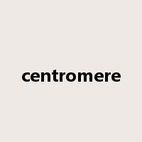 centromere是什么意思