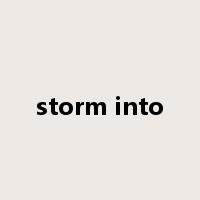 storm into是什么意思