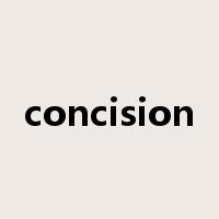 concision是什么意思