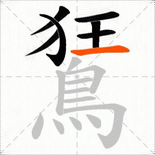 鵟