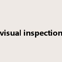 visual inspection是什么意思