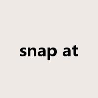 snap at是什么意思