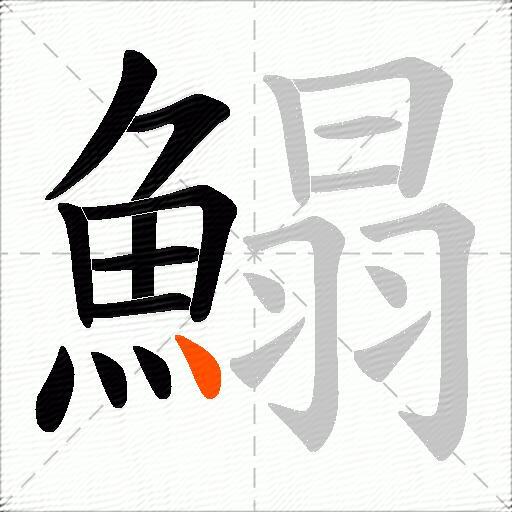 鰨