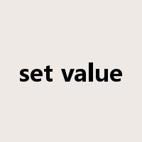 set value是什么意思