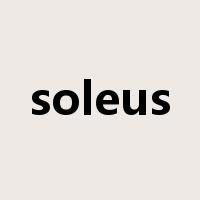 soleus是什么意思