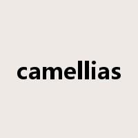 camellias是什么意思