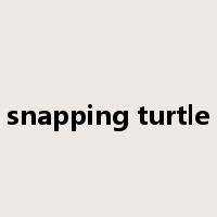 snapping turtle是什么意思