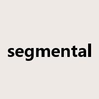 segmental是什么意思