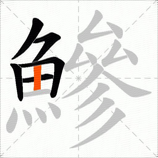 鰺