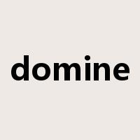domine是什么意思