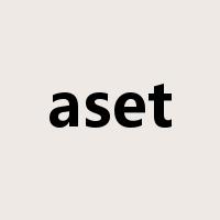 aset是什么意思