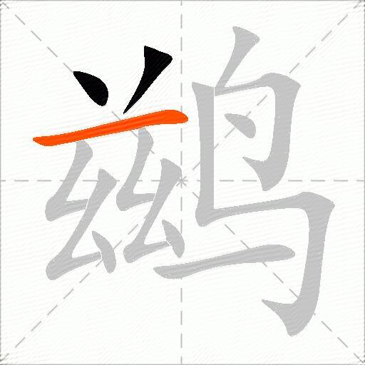 鹚