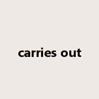 carries out是什么意思