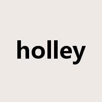 holley是什么意思