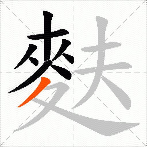 麩