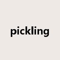 pickling是什么意思