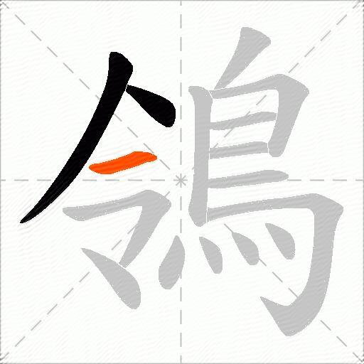鴒
