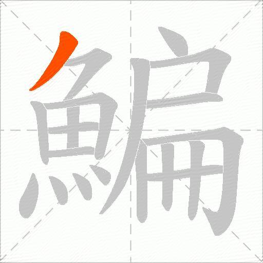鯿