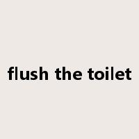 flush the toilet是什么意思