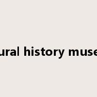 natural history museum是什么意思