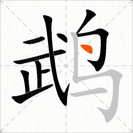 鹉