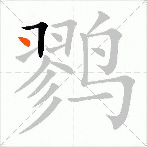鹨