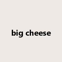big cheese是什么意思