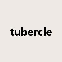 tubercle是什么意思