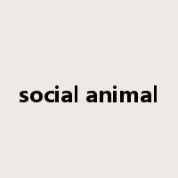 social animal是什么意思