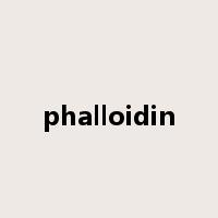 phalloidin是什么意思