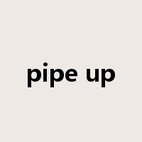 pipe up是什么意思