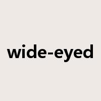 wide-eyed是什么意思