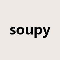 soupy是什么意思